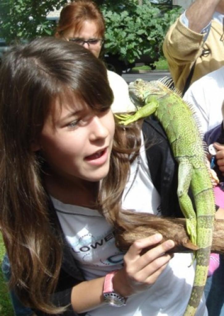 Autors: Inese Indzere