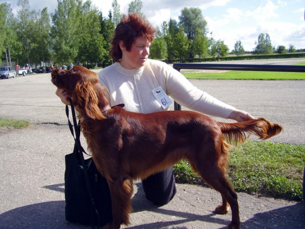 Iveta Kadile no Gulbenes ar junioru īru seteru Reisu izstādē piedalījās pirmo reizi un tika izvirzīta konkursam 