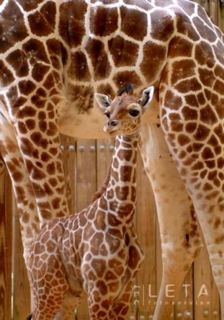 Autors: Foto: AFP/LETA 