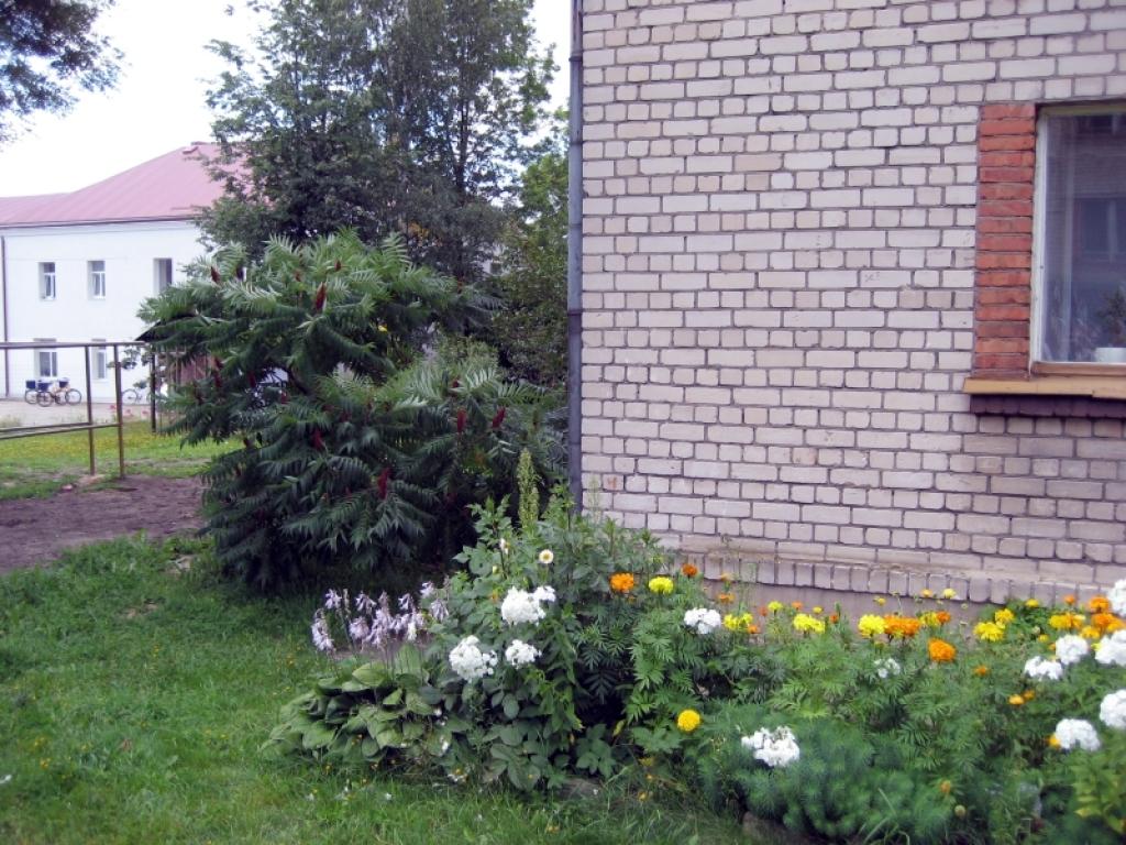 Puķes pie daudzdzīvokļu mājas - tas ir skaisti. Taču kādam par to ir jārūpējas. Neviens cits to nedarīs, kā vien paši mājas iedzīvotāji.
Autors: Foto: Diāna Odumiņa