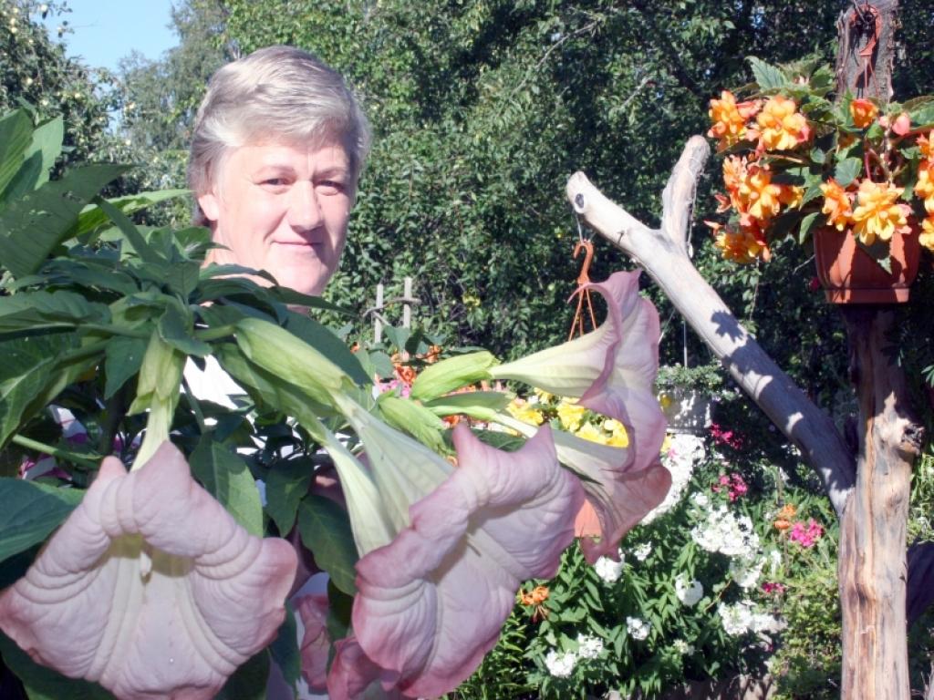 Brigitas Lāces ziedus apbrīno visi kaimiņi.
Autors: Foto: Gatis Bogdanovs