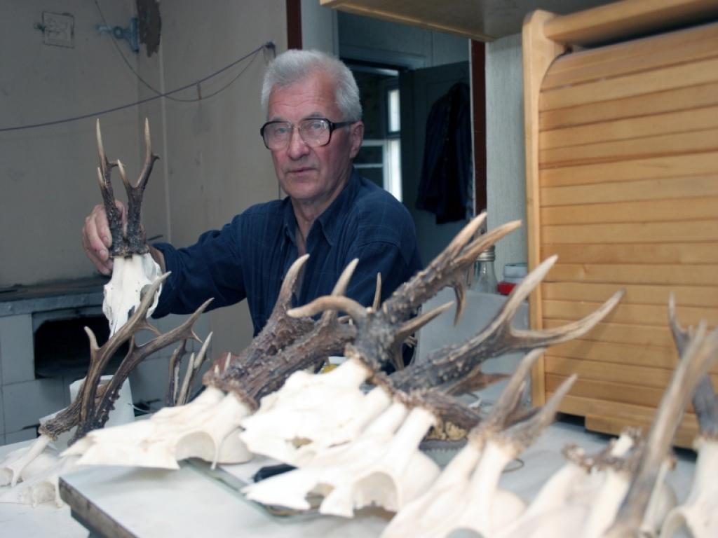 Bejas mednieku biedrības priekšsēdētājs Arvīds Bērzkalns prot gan medīt, gan sagatavot medību trofejas. 
Autors: Foto: Gatis Bogdanovs