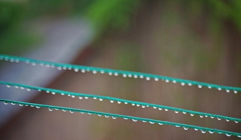 Skolas iela, Gulbene
Autors: Vilnis Gruntmanis