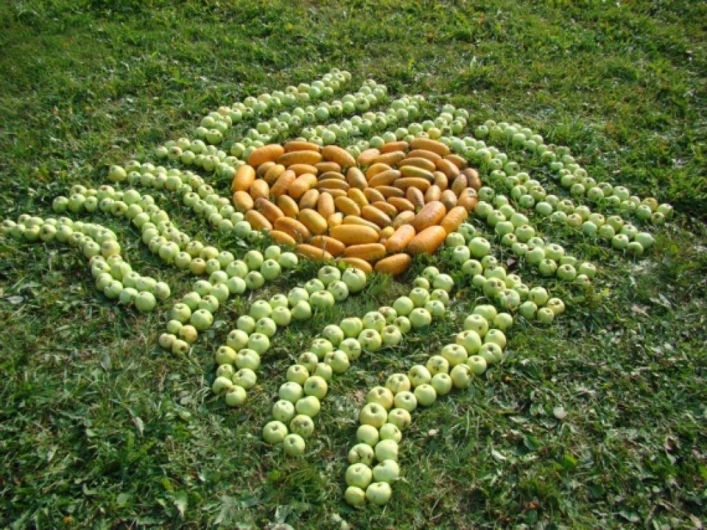 Autors: Inese Indzere