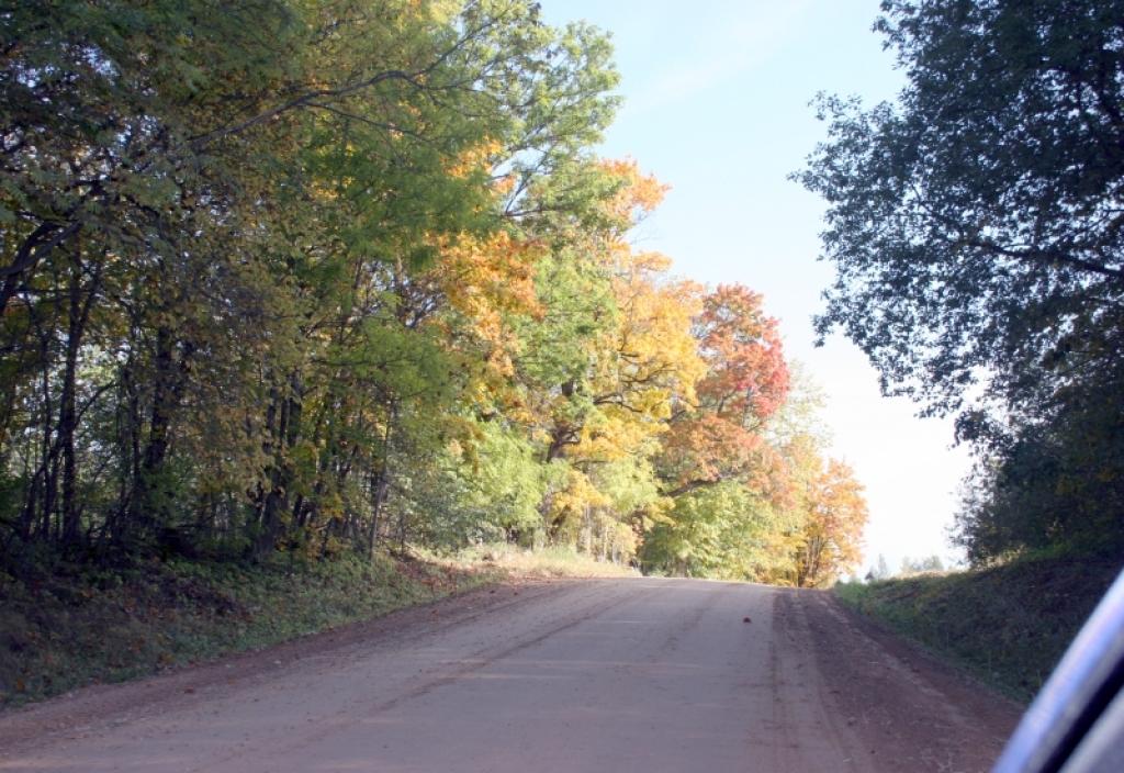 Autors: Foto: Gatis Bogdanovs