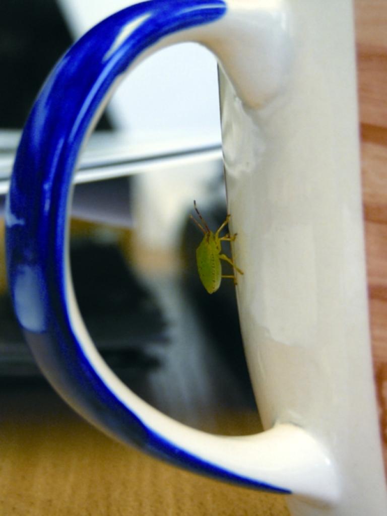 Autors: Foto: Inese Indzere