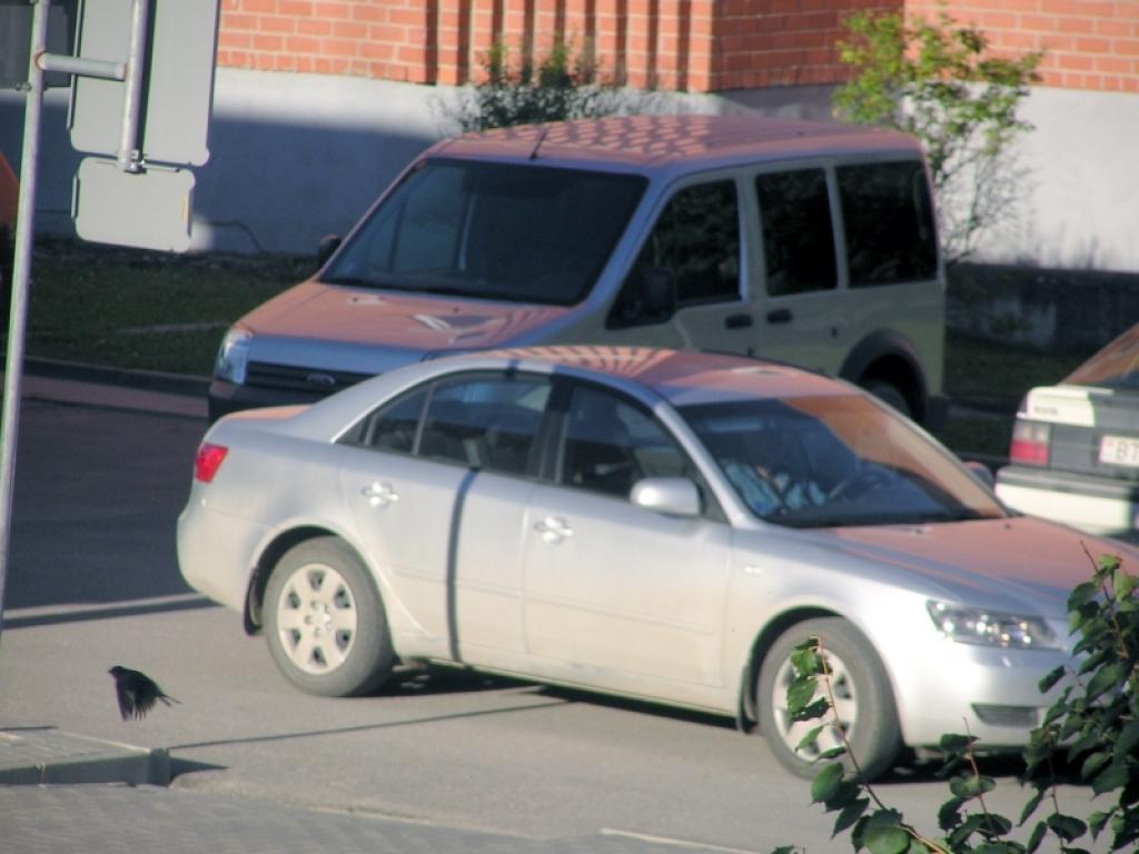 Šogad ir palielinājies arī autovadītāju skaits, kas vadījuši automašīnu bez vadītāja apliecības. Šogad ir aizturēti 80 šādi šoferi, pērn - 65. 
Autors: Foto: Tamāra Ulase