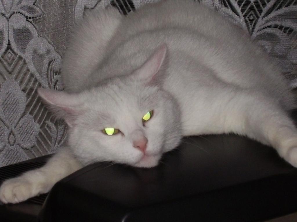 Autors: Inese Indzere