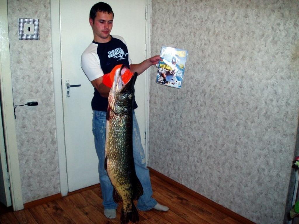 Fotogrāfija, kurā redzams Igors Skrins ar 13,8 kilogramus smago līdaku, nosūtīta žurnāla “Copes Lietas” konkursam. 
Autors: Foto: no personiskā albuma