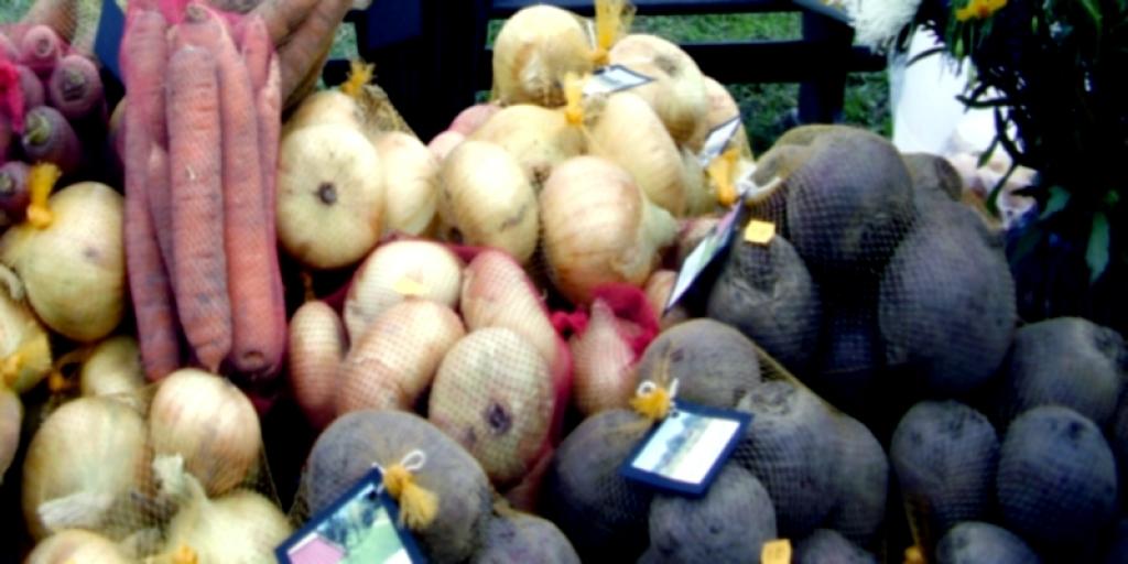 Autors: Foto: no arhīva