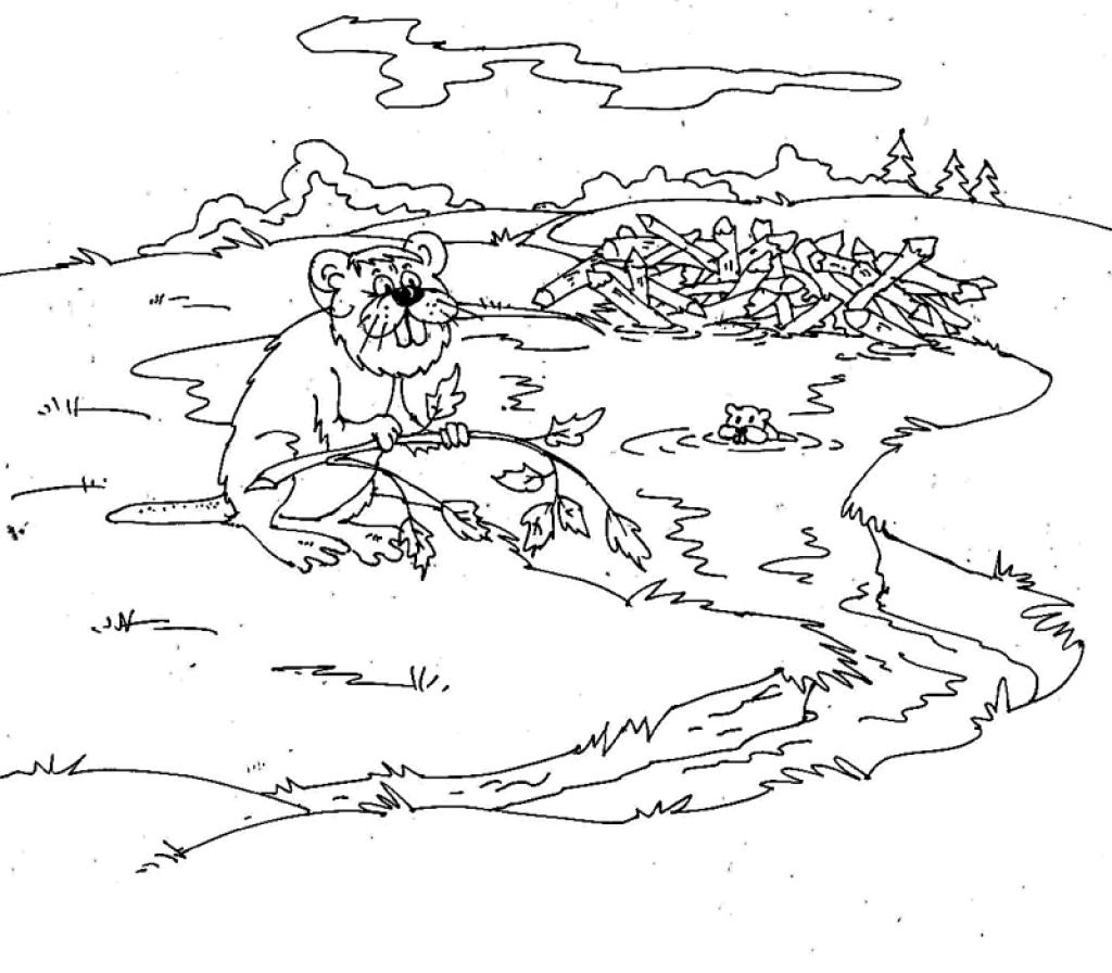 Autors: Zīmējis: Imants Liepiņš