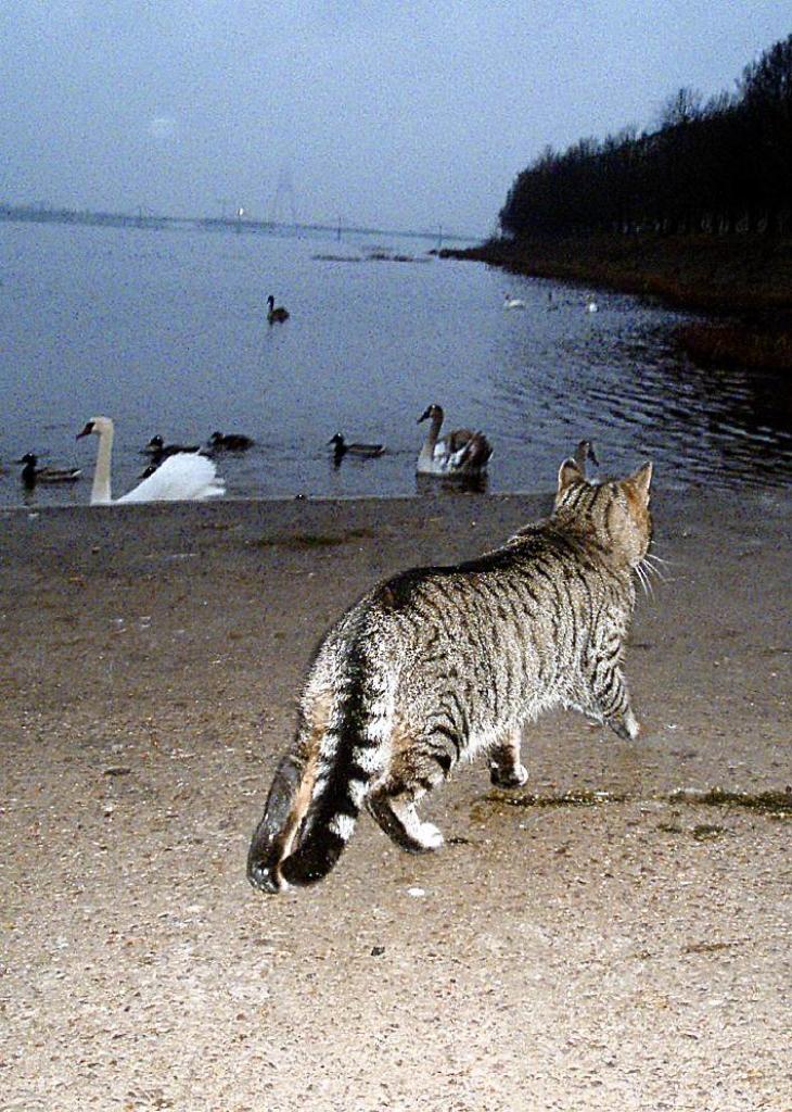 Autors: Foto: no personiskā albuma