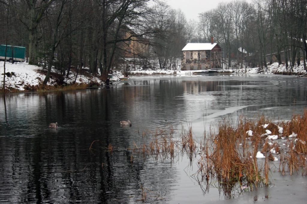 Autors: Foto: Gatis Bogdanovs  (no arhīva)