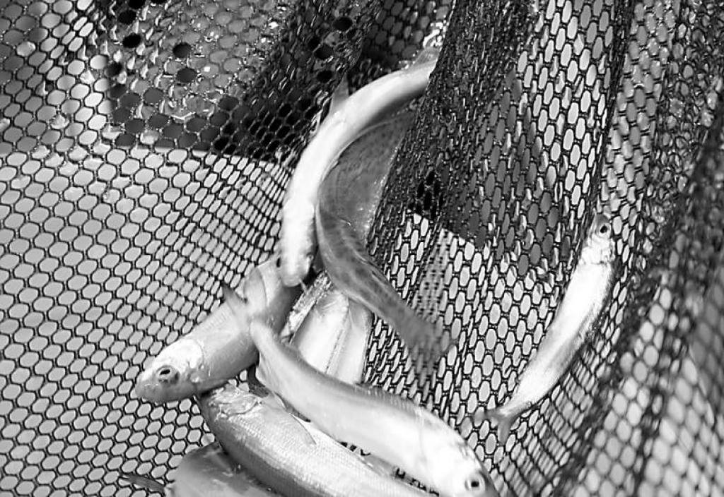 Autors: Foto: no arhīva