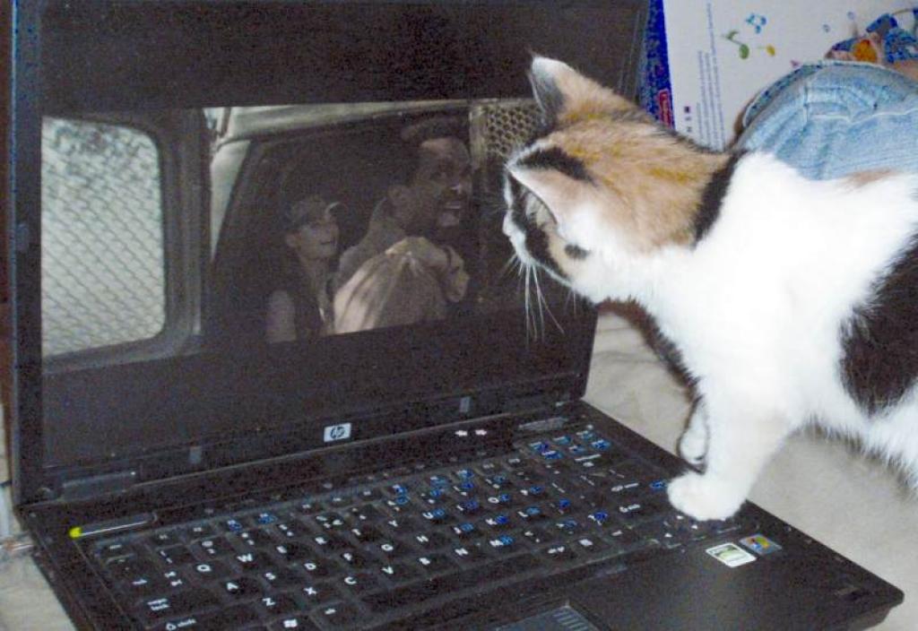 Autors: Foto: Pārsla Konrāde