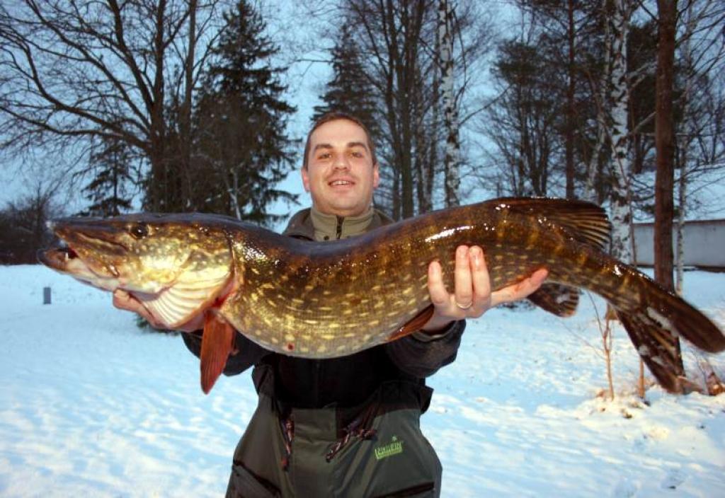 Gulbenietis Jānis Auzāns bļitkojot izvilcis 6,630 kilogramus smagu līdaku.
Autors:  Foto: Gatis Bogdanovs