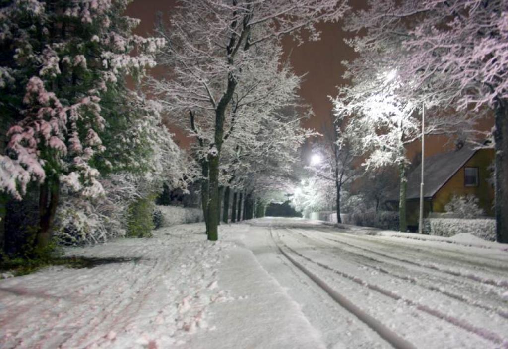 Autors: Foto: Gatis Bogdanovs