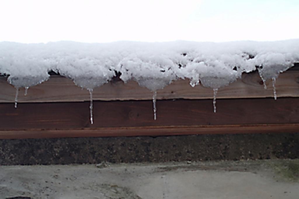 Autors: Pārsla Konrāde