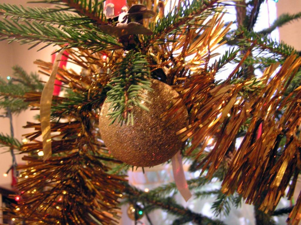 Autors: Foto: Tamāra Ulase