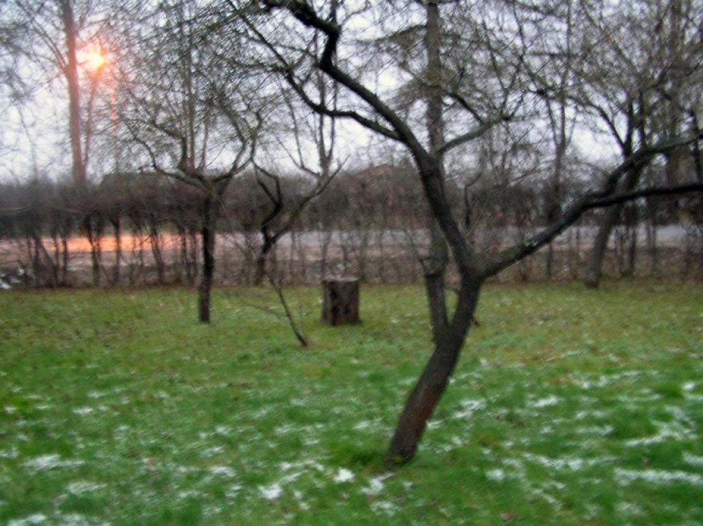 Autors: Foto: Tamāra Ulase