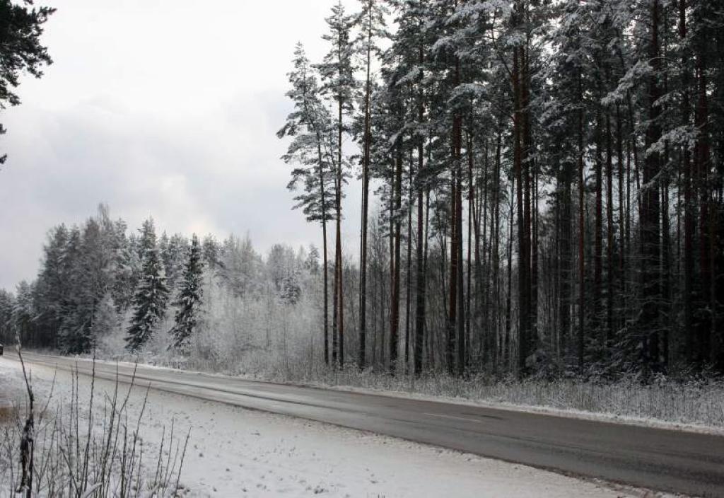 Autors: Foto: Gatis Bogdanovs