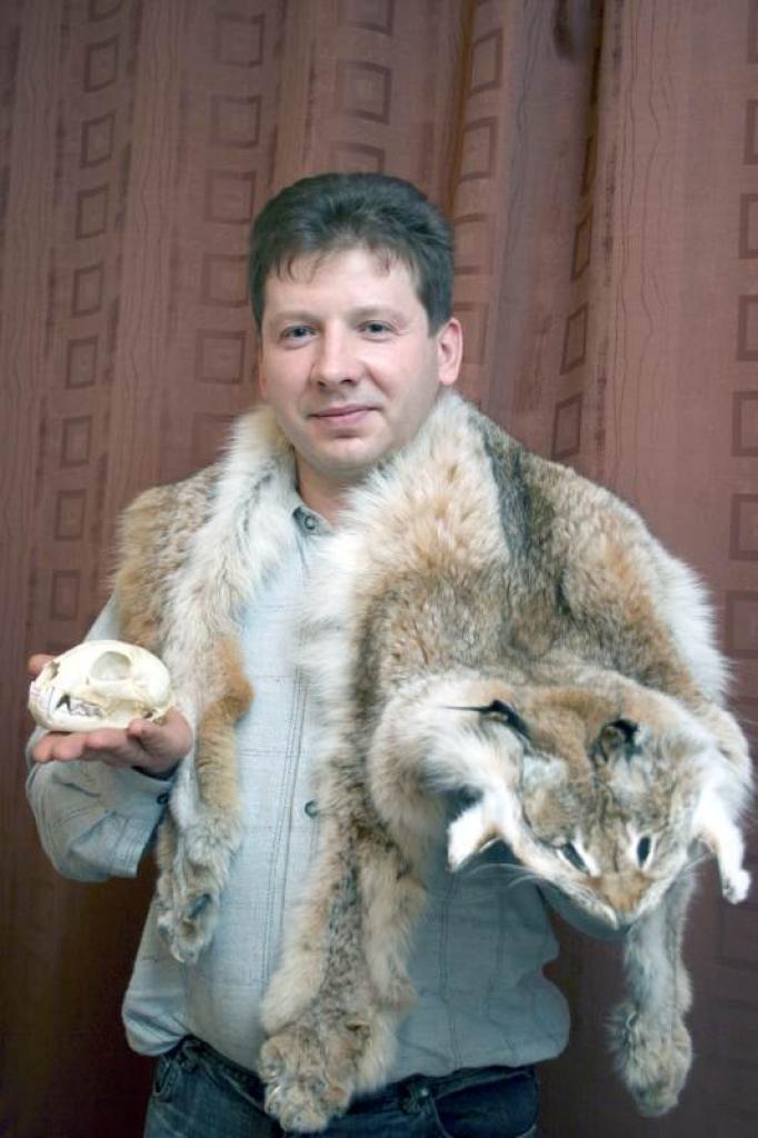 Guntis Ķīsis spriež, ka arī nesen nomedīto divu lūšu ādas un galvaskausi varētu būt apmēram tādi paši kā pirmajam. 
Autors: Foto: Gatis Bogdanovs