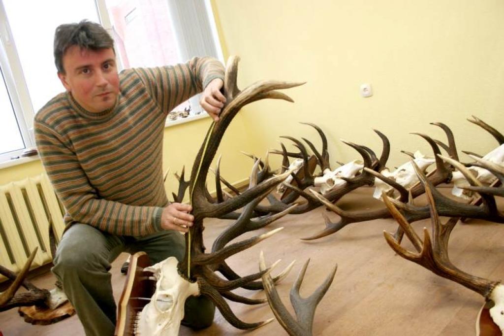 Valsts mežu dienesta medību daļas vadītājs Jānis Baumanis uzskata, ka medību trofeju izstāde būs ļoti interesanta, tajā varēs apskatīt daudz kvalitatīvu trofeju. 
Autors: Foto: Gatis Bogdanovs