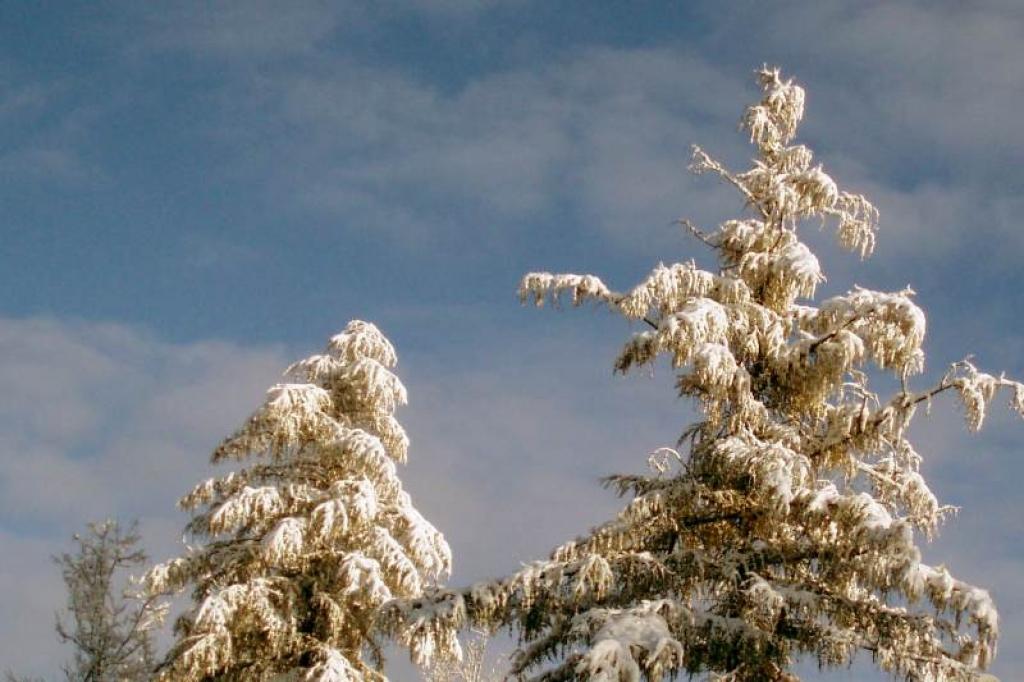 Autors: Foto: Pārsla Konrāde