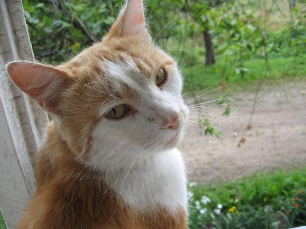 Autors: Linda Glazniece