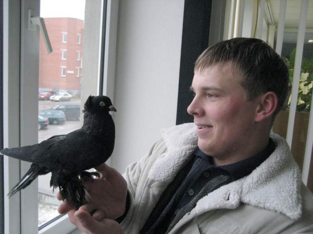 Mīlestība un baloži. Gulbenietis Sergejs Žuravkovs saka, ka šajā vārdu savienojumā ir daļa taisnības. Balodis ir sevišķi mīlēts un cienīts putns ne tikai Latvijā, bet visā Eiropā. 
Autors: Foto: Diāna Odumiņa 