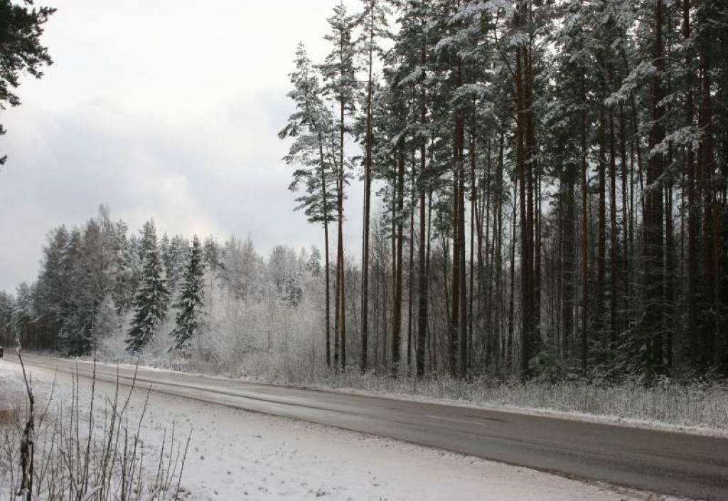 Autors: Foto: Gatis Bogdanovs (no arhīva)