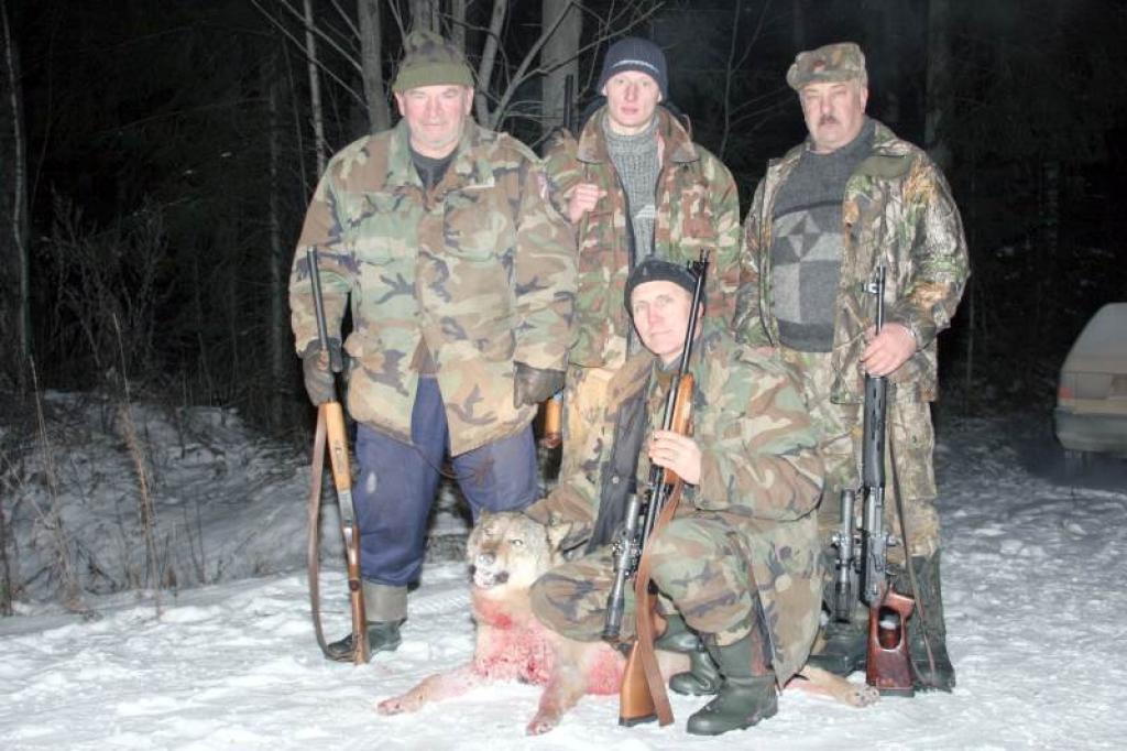 Daukstēnieša Valda Bisenieka mednieku kolektīva medniekiem izdevās arī ielenkt un nomedīt vilku. Trāpīgais šāvējs bija Ivans Ivanovs. 
Autors: Foto: Gatis Bogdanovs
