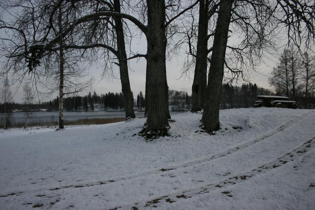 Autors: Foto: Gatis Bogdanovs