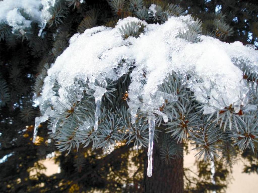 Autors: Foto: Pārsla Konrāde