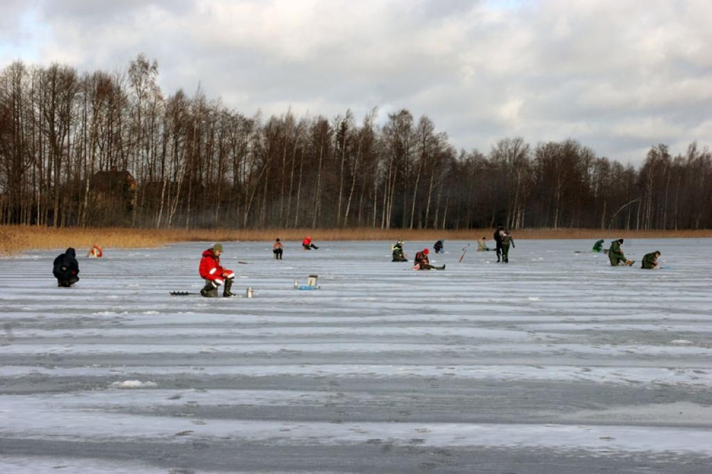 Autors: Foto: Gatis Bogdanovs (no arhīva)
