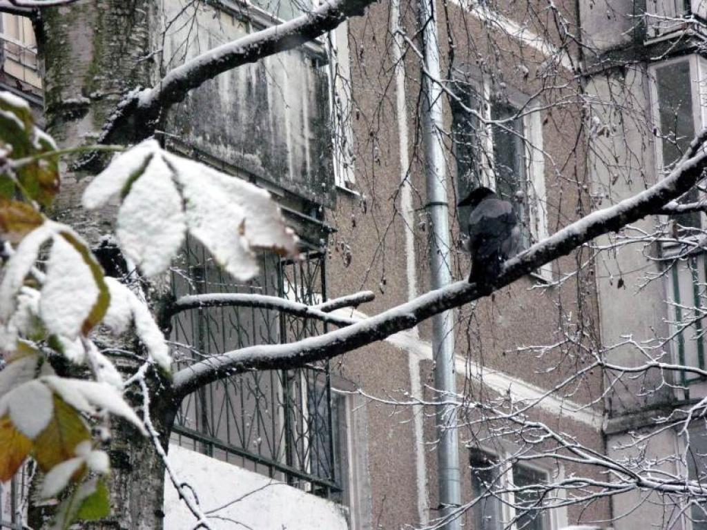 Autors: Foto: Pārsla Konrāde