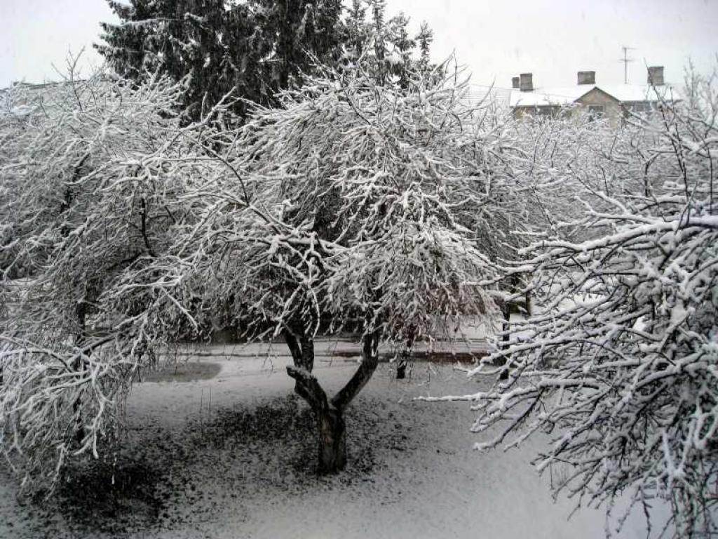 Autors: Tamāra Ulase