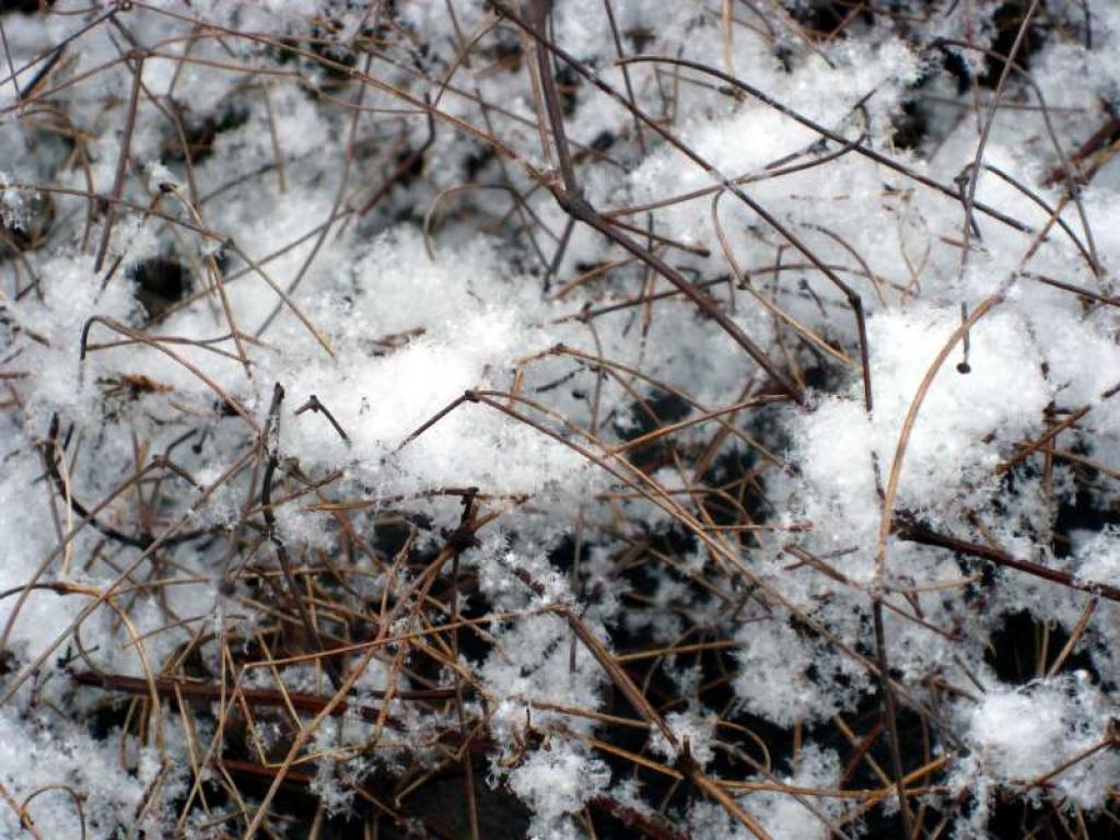 Autors: Tamāra Ulase