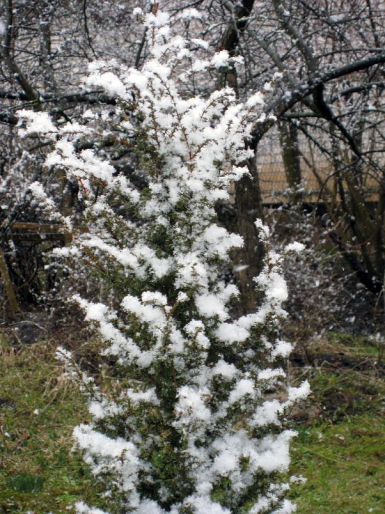 Autors: Foto: Tamāra Ulase