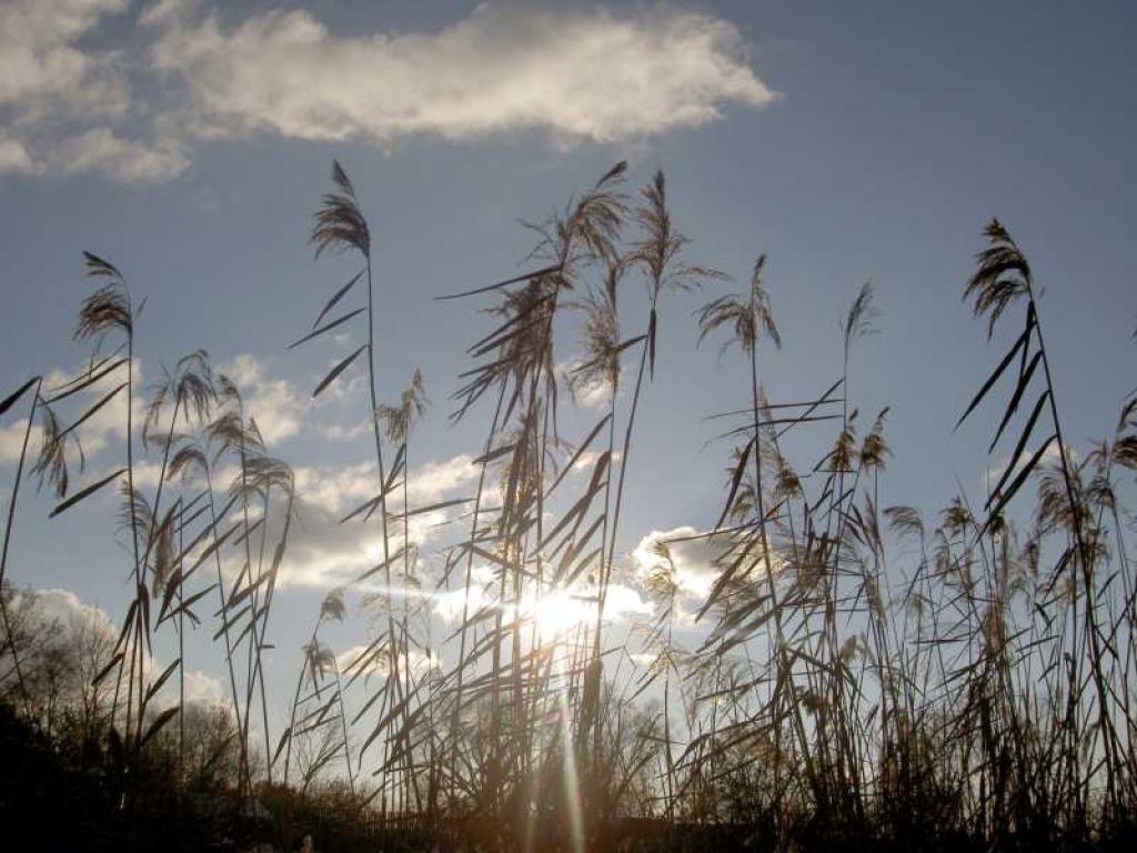 Autors: Foto: Aija Konrāde