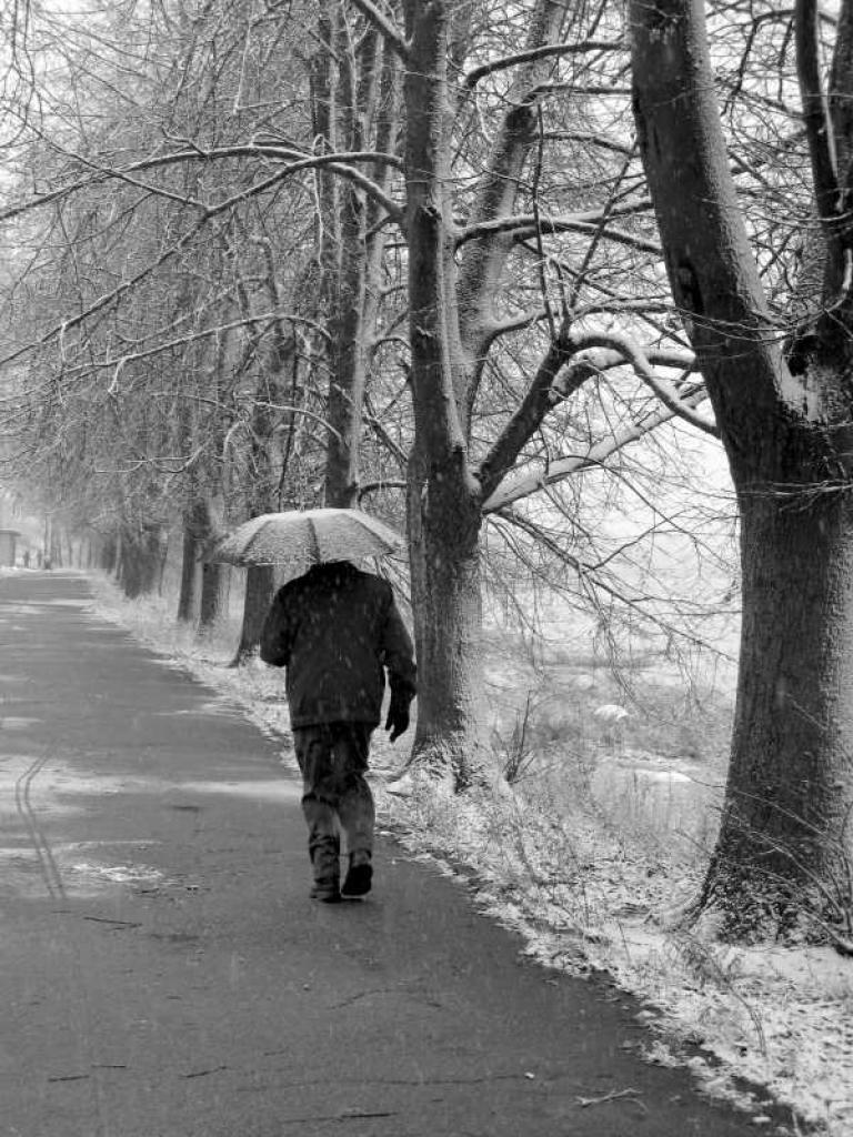 Autors: Foto: Aija Konrāde