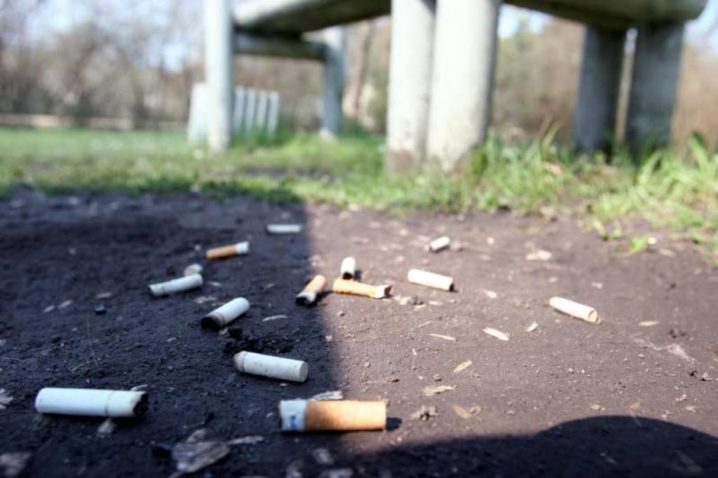 Ja šos zemē nomestos izsmēķus nodotu laboratorijā analīžu veikšanai, atklātos, ka uz tiem sastopamas daudz dažādas baktērijas un vīrusi. 
Autors: Gatis Bogdanovs