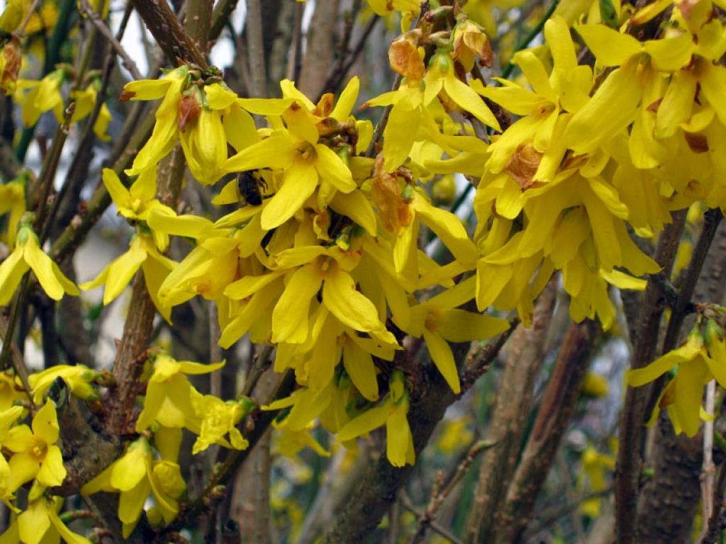 Autors: Tamāra Ulase