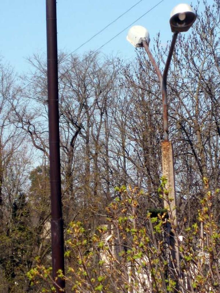 Autors: Tamāra Ulase