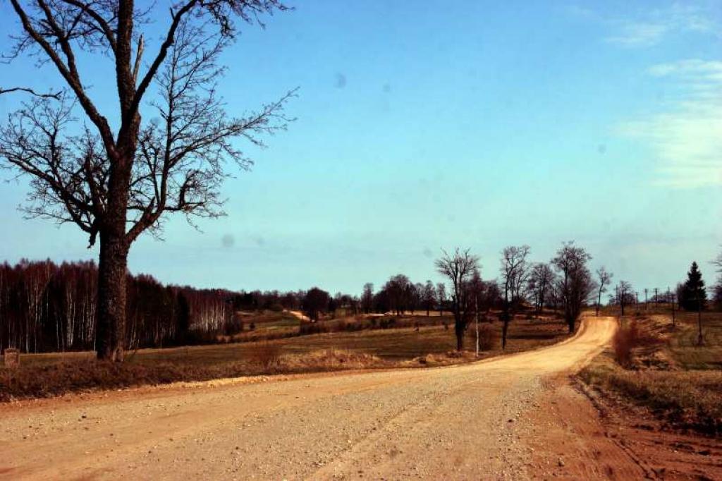 Grants seguma 2.šķiras valsts nozīmes ceļa posmu no Puna kroga līdz Kalnienai bijis paredzēts asfaltēt jau padomju gados. Šobrīd tas iekļauts autoceļu atbalsta programmā 2009. - 2013.gadam, bet visu var pasteidzināt pilotprojekts. 
Autors: Gatis Bogdanovs