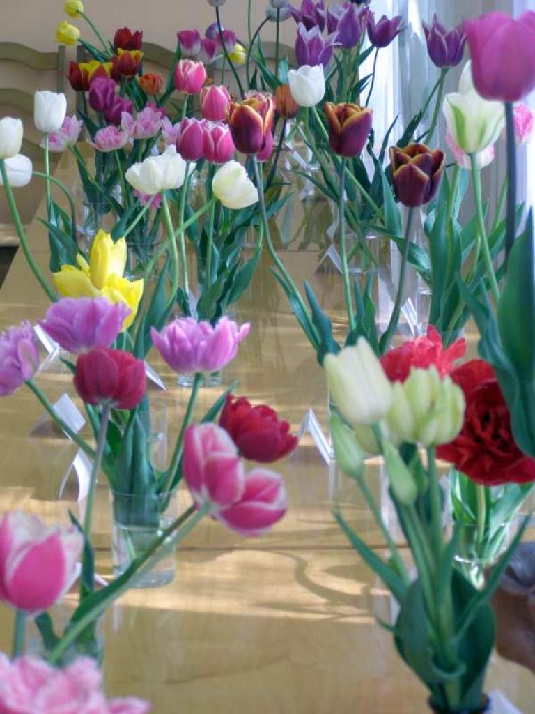 Autors: No personiskā albuma