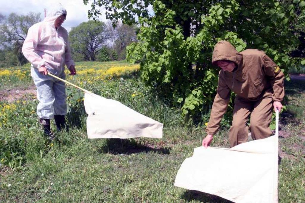 Gulbenes rajonā Lejasciema pagasta teritorijā ir noteikts monitorings, kur filiāles darbinieces reizi gadā dodas vākt ērces, lai pēc tam nosūtītu uz pārbaudi infektoloģijas laboratorijā Rīgā. Ērču vākšanā iesaistījušās aģentūras Gulbenes filiāles speciālistes Biruta Vītola(baltā) un Gaida Gavrilko. 
Autors: Gatis Bogdanovs