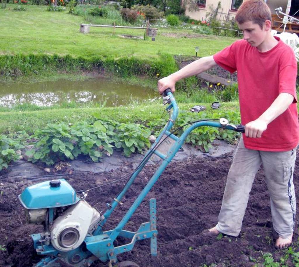 Autors: Tamāra Ulase