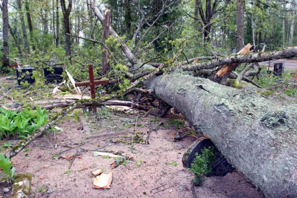 Autors: Gatis Bogdanovs