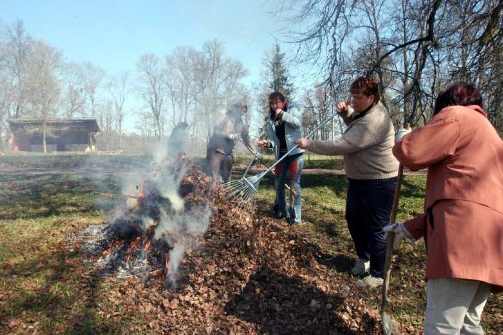 Speciālisti aicina lietot atkritumu savākšanai piemērotus darbarīkus, lai savāktās lapas un citi priekšmeti nebūt jāņem ar rokām. Gružu pārvietošanai jālieto biezi un izturīgi atkritumu maisi, bet rokās jābūt cimdiem no iespējami biezāka materiāla.
Autors: Gatis Bogdanovs